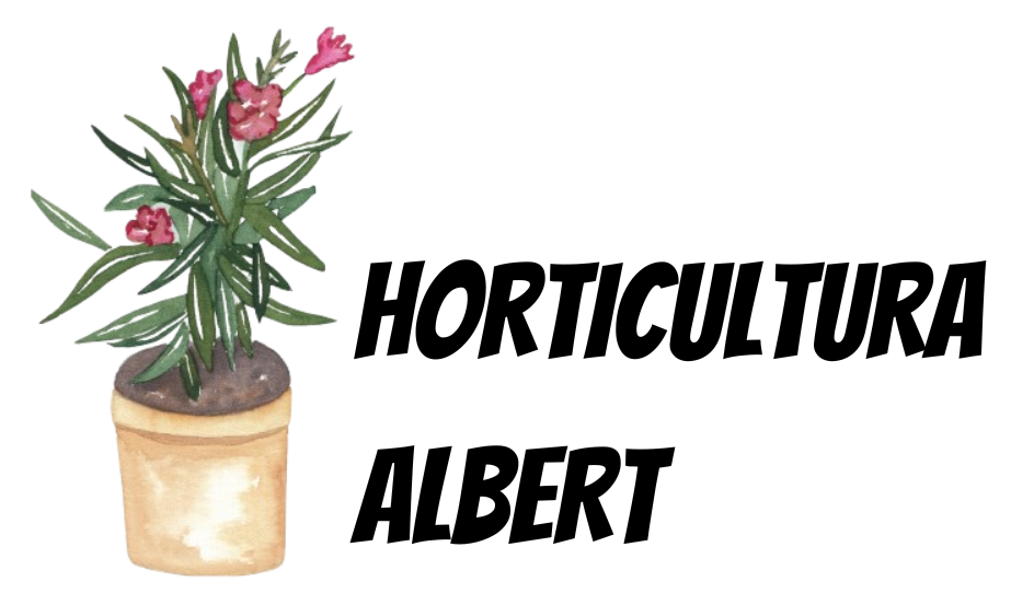 HORTICULTURA ALBERT